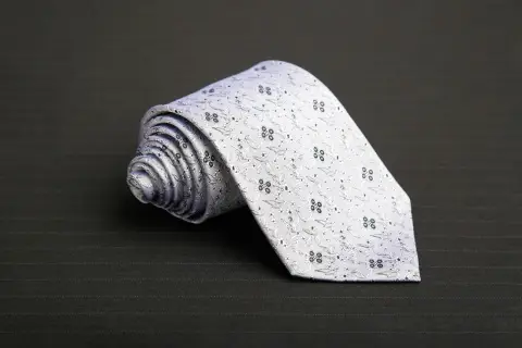 Cà vạt lụa 100% · 39