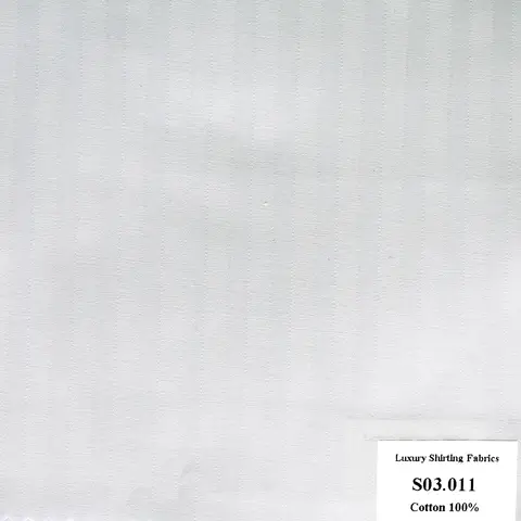 Màu Trắng Sọc Dọc — S03.011