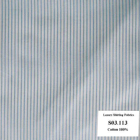 Màu Xanh Biển Nhạt Sọc Dọc — S03.113