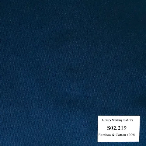 Màu Xanh Navy Sọc Xéo — S02.219